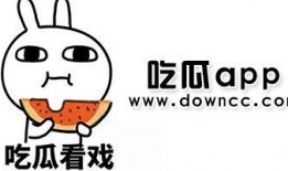 网红黑料视频 瓜瓜基地,黑料视频背后的真相