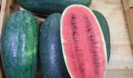 56吃瓜网 17草吃瓜网黑料爆料视频在线看